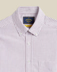 portuguese flannel belavista long sleeve shirt stripe bordeaux