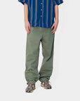 carhartt wip single knee pant park