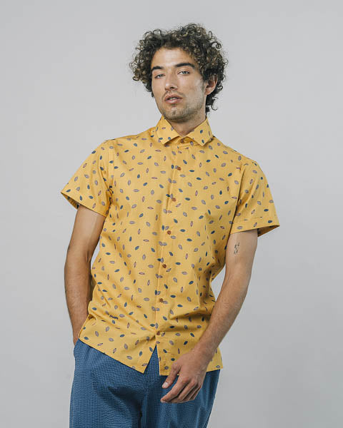 brava kakao shirt
