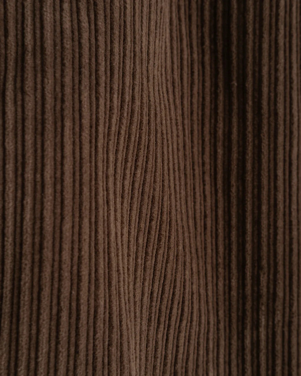 girls of dust sultan pants dream cord seppia