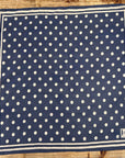 max rohr max 18 foulard blue cotton silk