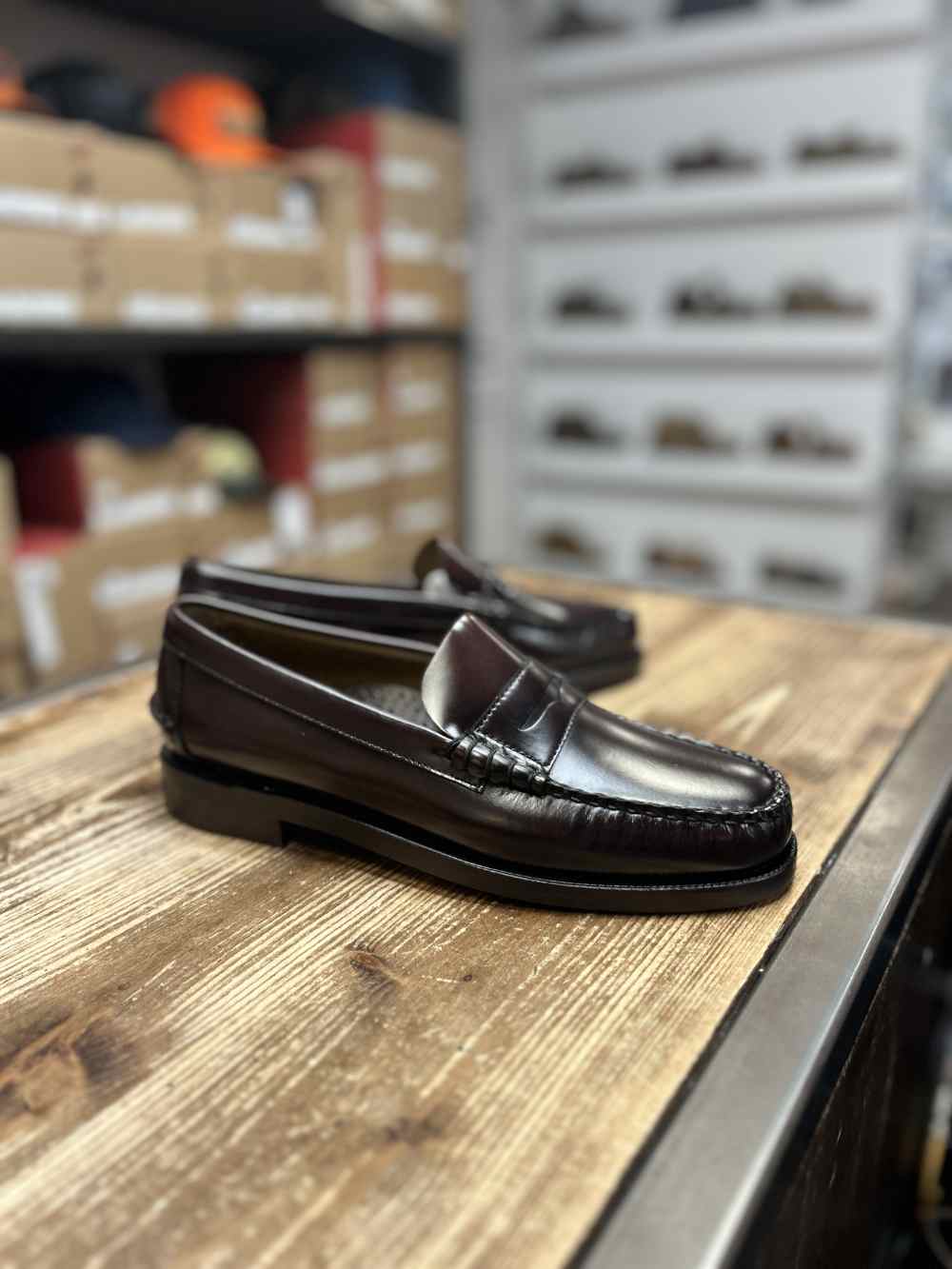 sebago classic dan brown burgundy