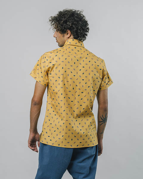brava kakao shirt